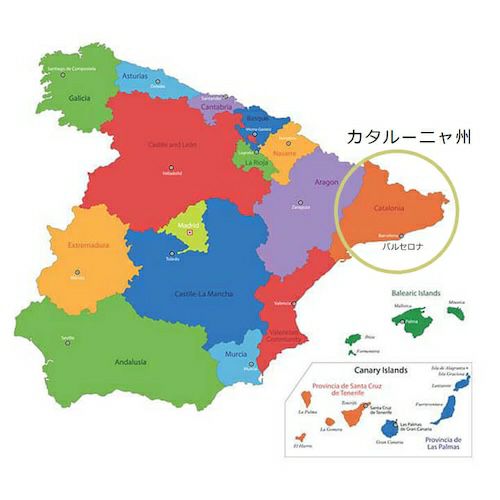 ワインに合う】【映えるおつまみ】フエカリダ　白カビサラミ