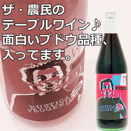 ﾊﾟﾗｯﾂｫ･ﾄﾛﾝｺｰﾆ／ロッソ・ビオディナミコ 1000ml