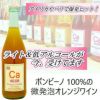 ｶﾙｶﾘｳｽ／Ca　フレッチャボンブ　オレンジ