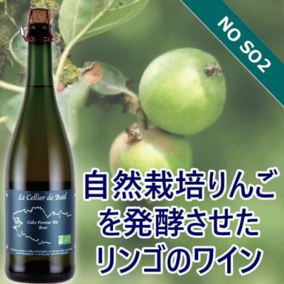 カテゴリーで選ぶ | ハウディ カテゴリーで選ぶ | ハウディ