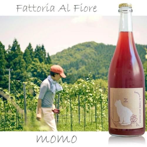 ロゼ・辛口 | ハウディ