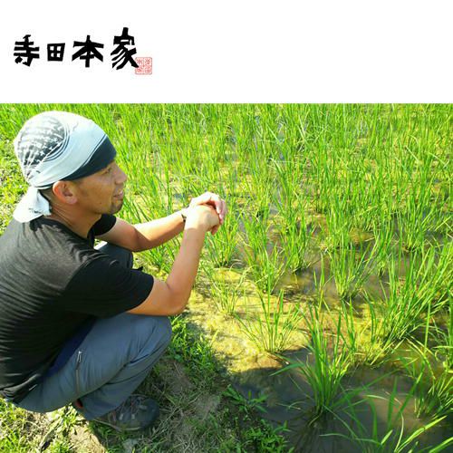 寺田本家　千葉県の自然派老舗日本酒蔵