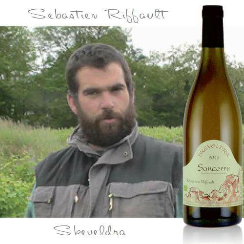 スケヴェルドラ／セバスチャン・リフォー | ハウディ