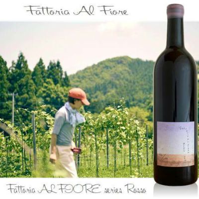 ﾌｧｯﾄﾘｱ･ｱﾙ･ﾌｨｵｰﾚ／fattoria AL FIORE-Rosso ファットリア・アル・フィオーレ　ロッソ