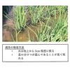 問天　純米大吟醸 2016　木箱入　720ml