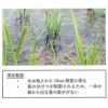 問天　純米大吟醸 2016　木箱入　720ml