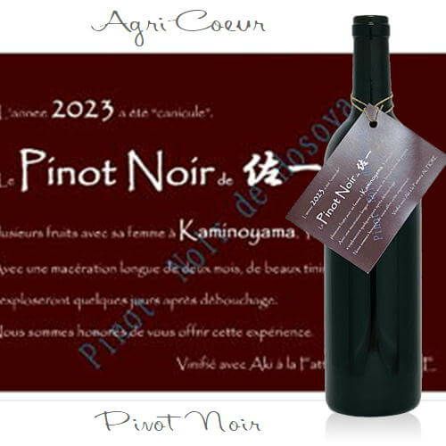 ｱｸﾞﾘｸｰﾙ／ピノノワール Pinot Noir | ハウディ
