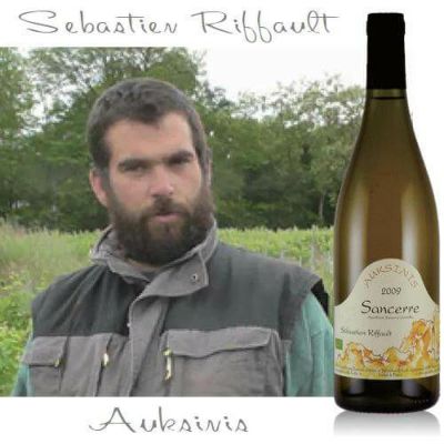 セバスチャン タイタス Sebastian Titus 葡萄リトグラフ　希少品 セバスチャン タイタス Sebastian Titus 葡萄リトグラフ 希少品 - メルカリ