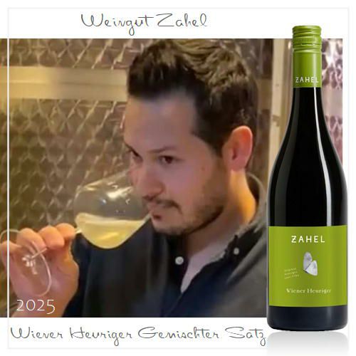 【オーストリア新酒】【ホイリゲ】【11月11日解禁】【白ワイン】ﾂｧｰﾍﾙ／ウィーナー ホイリゲ　ゲミシュターサッツ
