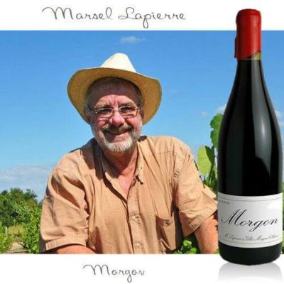 ﾏﾙｾﾙ･ﾗﾋﾟｴｰﾙ／モルゴン　2022