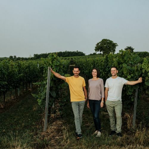 【2000円台で楽しめる】【コスパ最強ワイン】【オーストリアワイン】【白ワイン】ｸﾞﾘｭｰﾊﾞｰ／グリーン　ペップ　グリューナー　ヴェルトリーナー