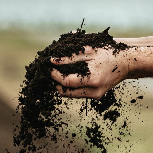 【2000円台で楽しめる】【コスパ最強ワイン】【オーストリアワイン】【白ワイン】ｸﾞﾘｭｰﾊﾞｰ／グリーン　ペップ　グリューナー　ヴェルトリーナー