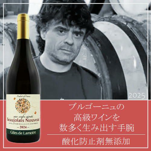 【2025年産】【新酒】【赤ワイン】ｼﾞﾙ･ﾄﾞ･ﾗﾓｱ／ボジョレー・ヌーボー