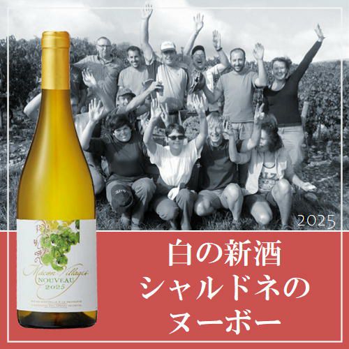 【2025年産】【新酒】【白ワイン】ｳﾞｨﾆｭﾛﾝ･ﾃﾞ･ﾃｰﾙ･ｾｸﾚｯﾄ／マコン・ヴィラージュ・ヌーボー