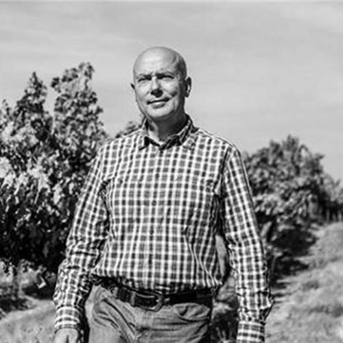 ヴィーニャ・マーティ【チリ】【日本酒酵母】